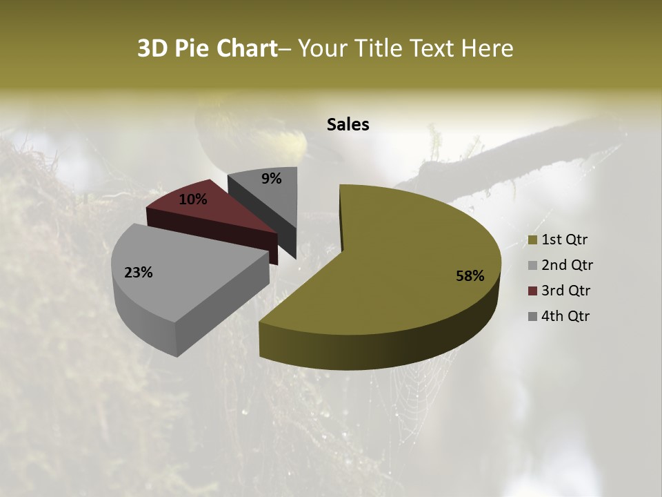 Collared Redstart Has A Different View On Life!!!!!Red Capped Grey Vested Warbler, Monteverde Cloud Forest, Costa Rica, November 2008. Myioborus Torquatus, Arulidae Family PowerPoint Template