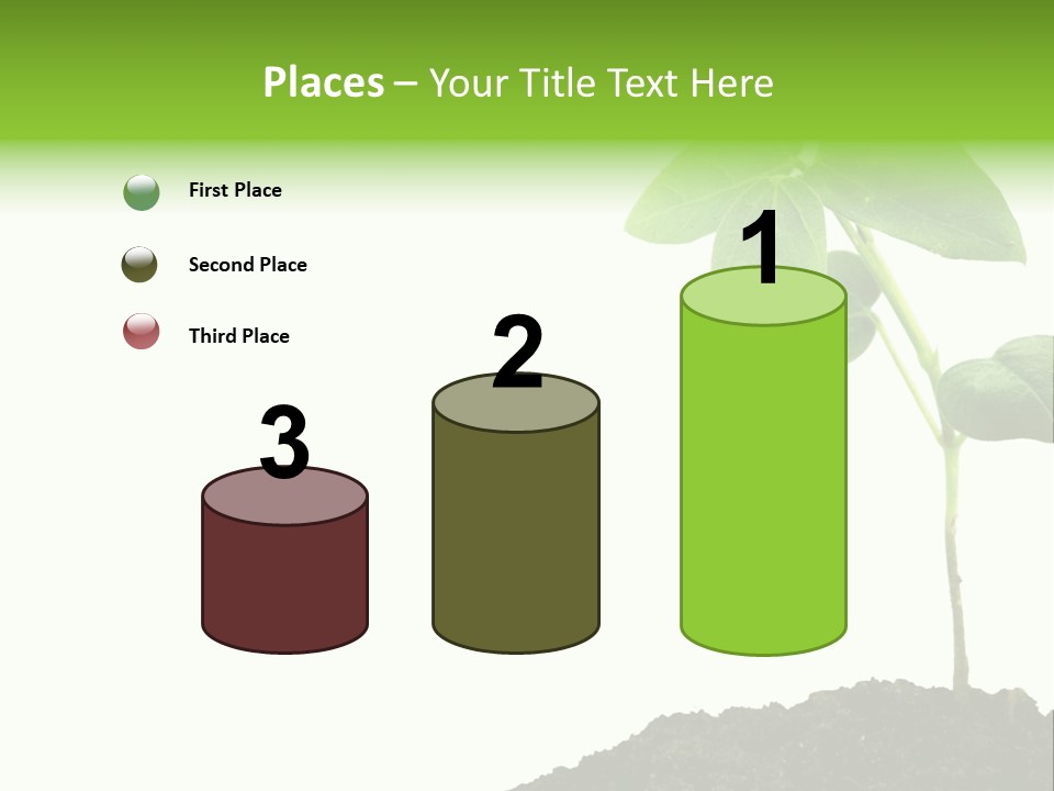 Seedling Growing In Dirt, Isolated Over Pure White Background. PowerPoint Template