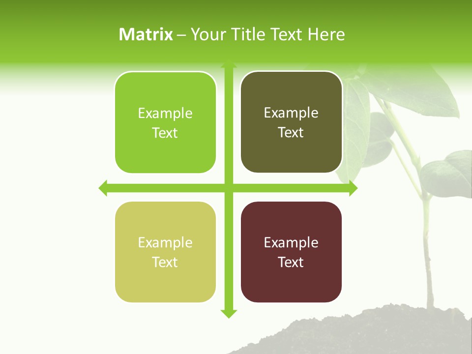 Seedling Growing In Dirt, Isolated Over Pure White Background. PowerPoint Template