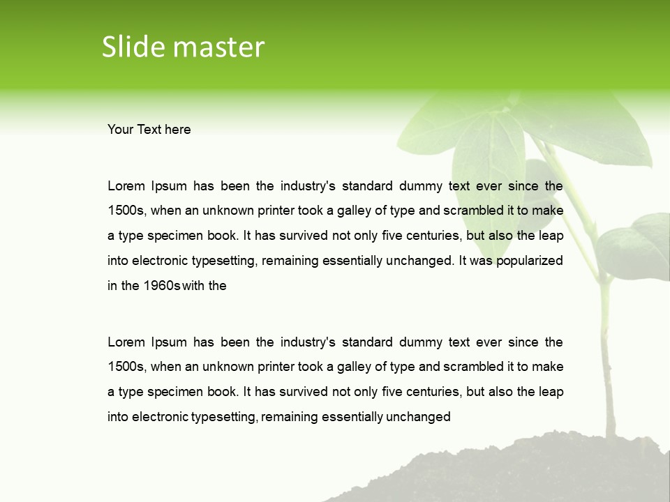 Seedling Growing In Dirt, Isolated Over Pure White Background. PowerPoint Template