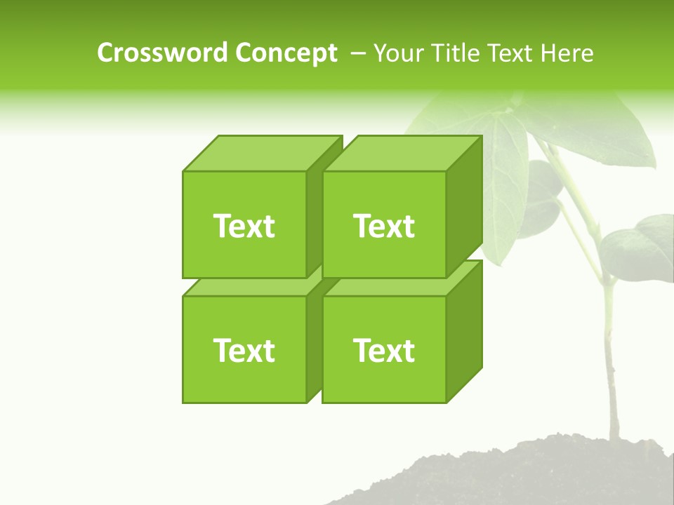 Seedling Growing In Dirt, Isolated Over Pure White Background. PowerPoint Template