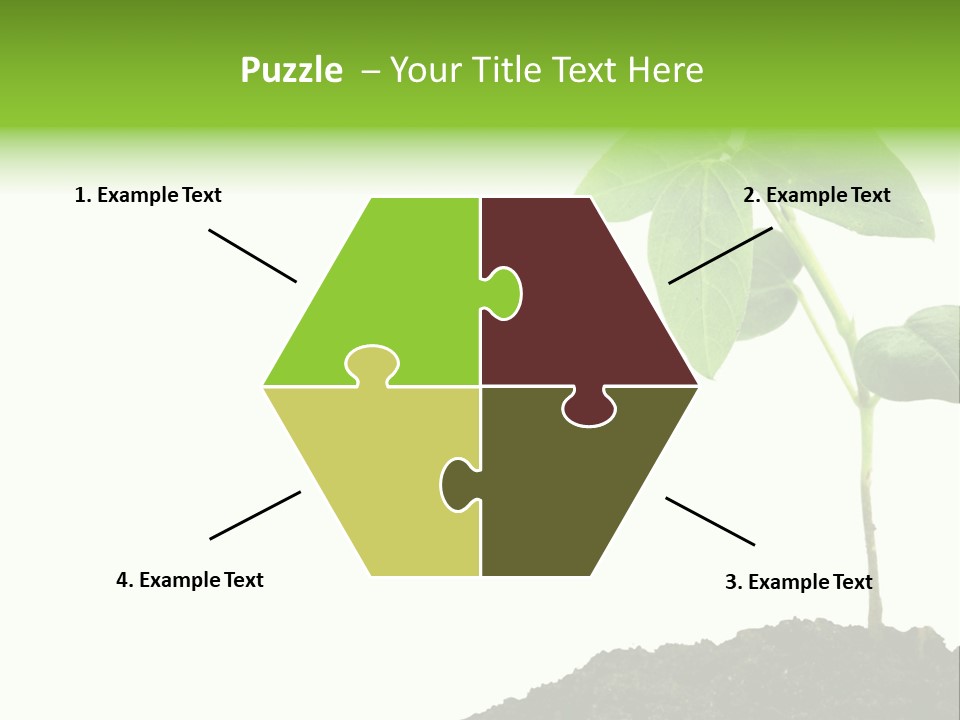 Seedling Growing In Dirt, Isolated Over Pure White Background. PowerPoint Template