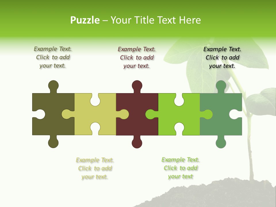 Seedling Growing In Dirt, Isolated Over Pure White Background. PowerPoint Template