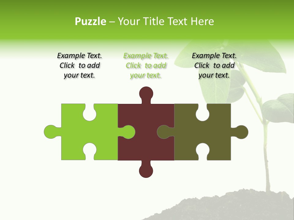 Seedling Growing In Dirt, Isolated Over Pure White Background. PowerPoint Template