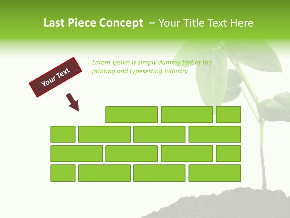 Seedling Growing In Dirt, Isolated Over Pure White Background. PowerPoint Template