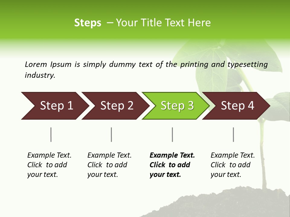 Seedling Growing In Dirt, Isolated Over Pure White Background. PowerPoint Template