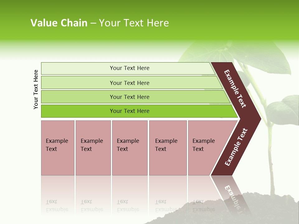 Seedling Growing In Dirt, Isolated Over Pure White Background. PowerPoint Template