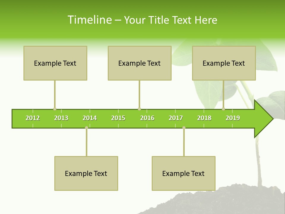 Seedling Growing In Dirt, Isolated Over Pure White Background. PowerPoint Template