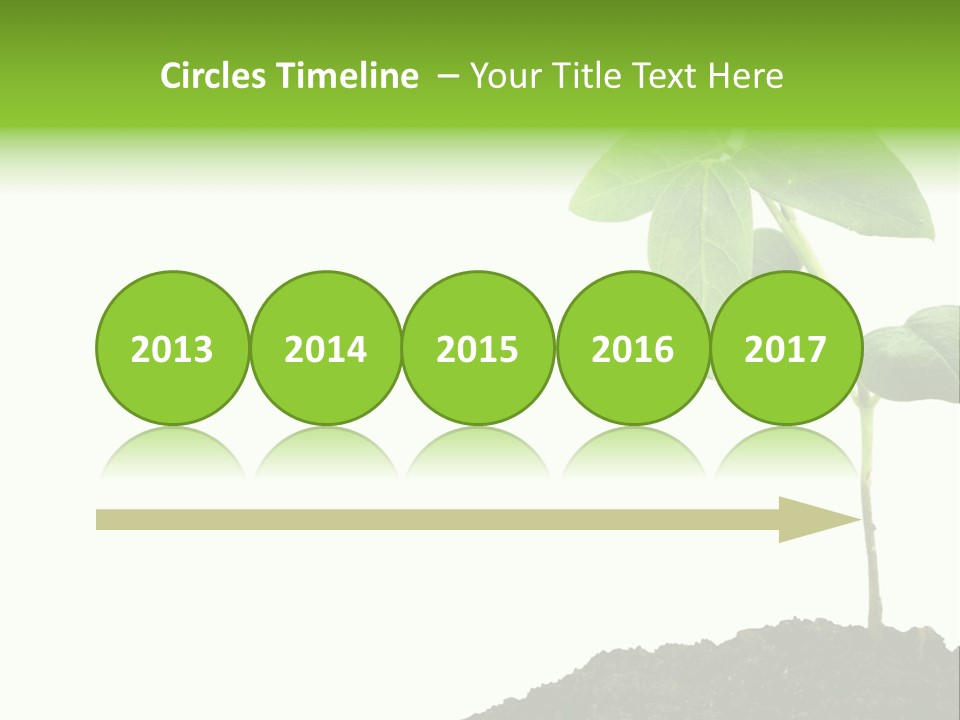 Seedling Growing In Dirt, Isolated Over Pure White Background. PowerPoint Template