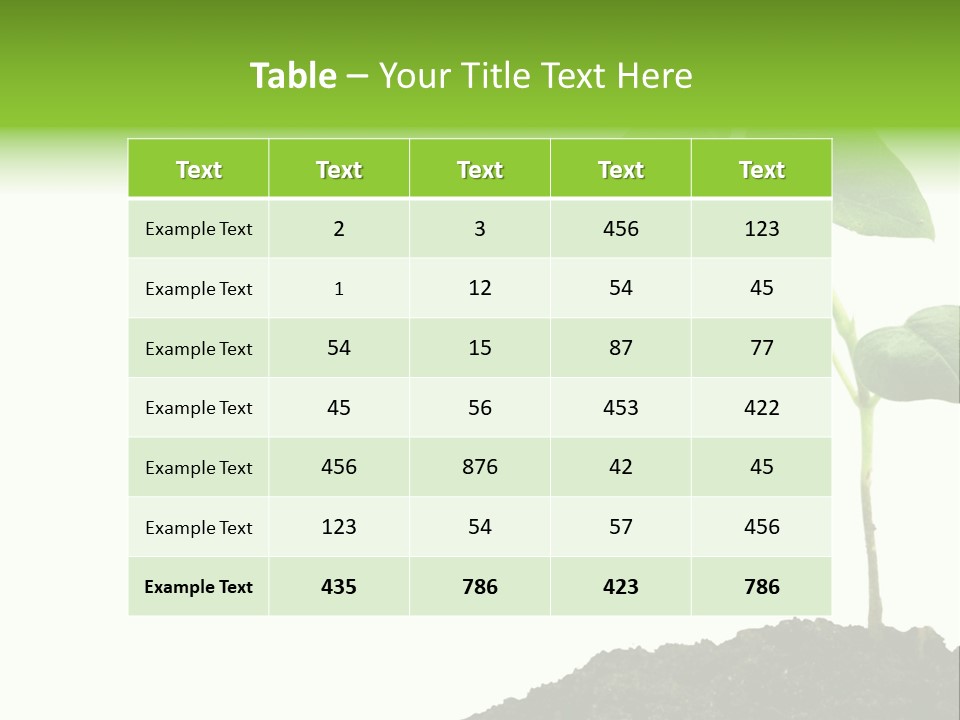 Seedling Growing In Dirt, Isolated Over Pure White Background. PowerPoint Template
