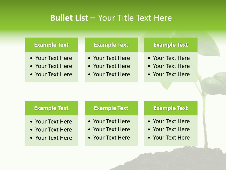 Seedling Growing In Dirt, Isolated Over Pure White Background. PowerPoint Template