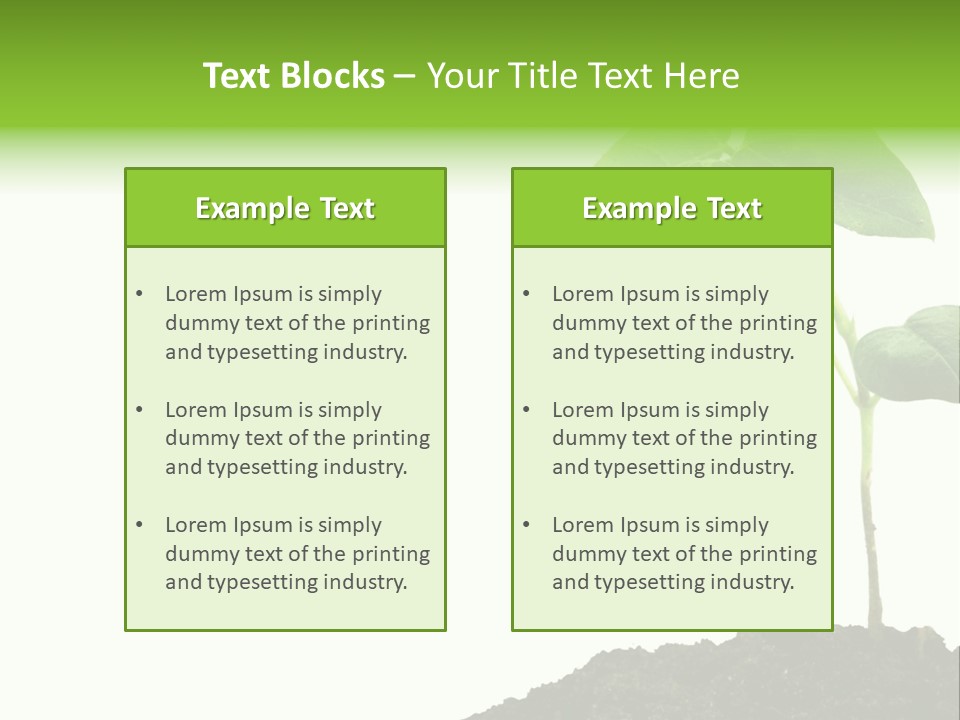 Seedling Growing In Dirt, Isolated Over Pure White Background. PowerPoint Template
