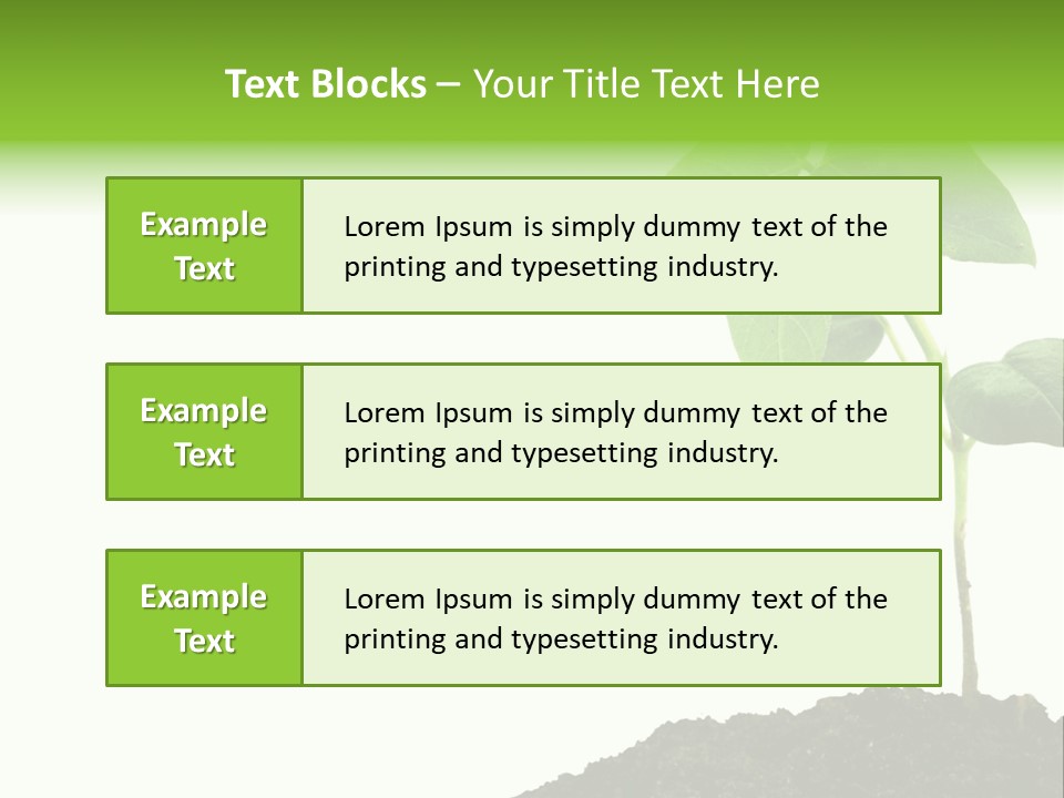 Seedling Growing In Dirt, Isolated Over Pure White Background. PowerPoint Template