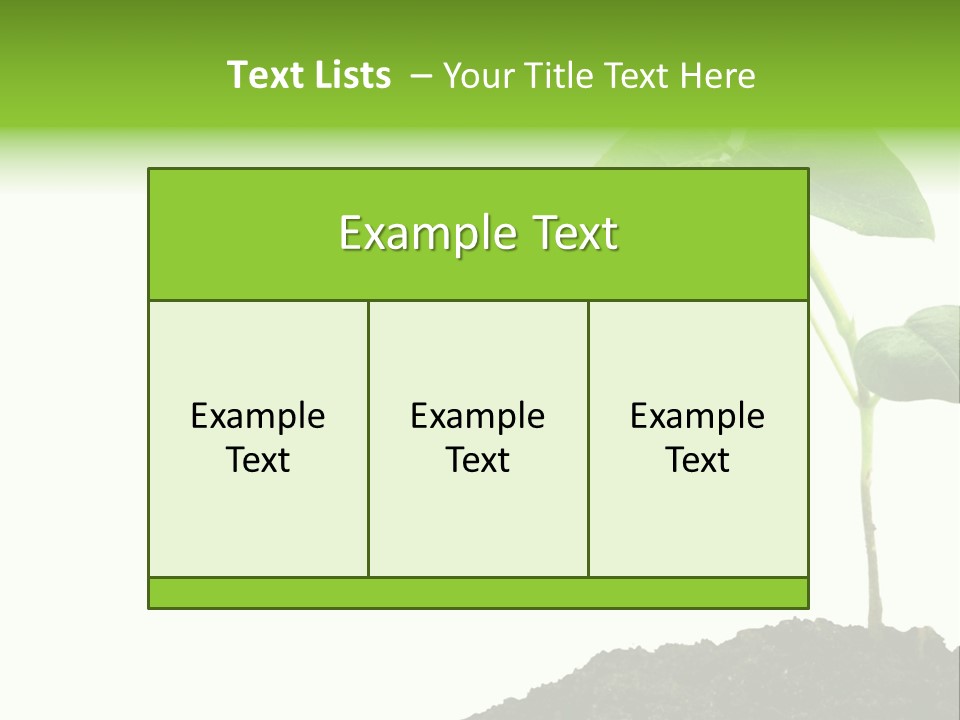 Seedling Growing In Dirt, Isolated Over Pure White Background. PowerPoint Template