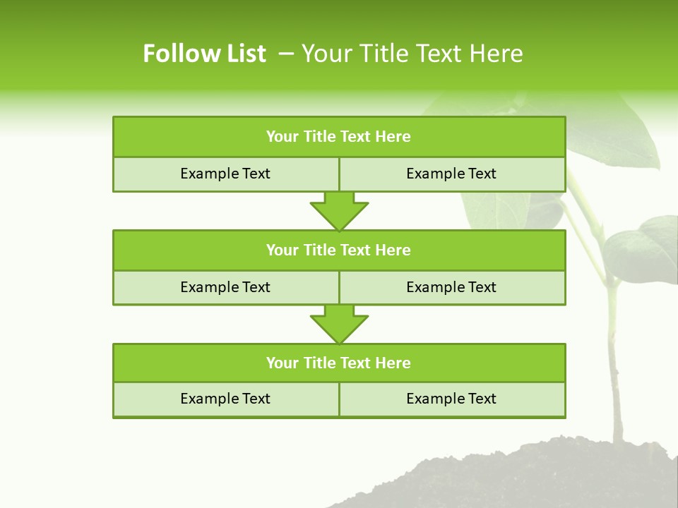 Seedling Growing In Dirt, Isolated Over Pure White Background. PowerPoint Template