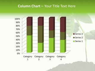 Seedling Growing In Dirt, Isolated Over Pure White Background. PowerPoint Template