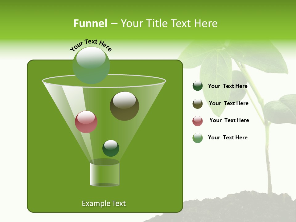 Seedling Growing In Dirt, Isolated Over Pure White Background. PowerPoint Template