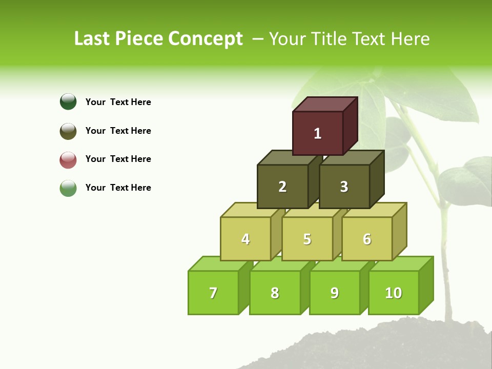 Seedling Growing In Dirt, Isolated Over Pure White Background. PowerPoint Template