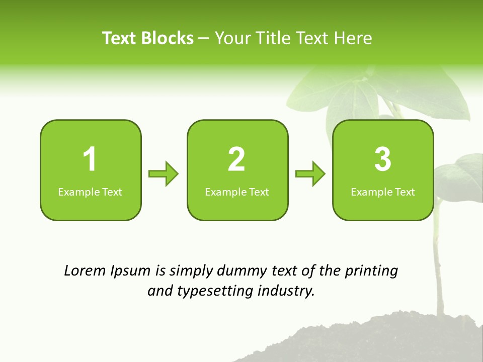 Seedling Growing In Dirt, Isolated Over Pure White Background. PowerPoint Template