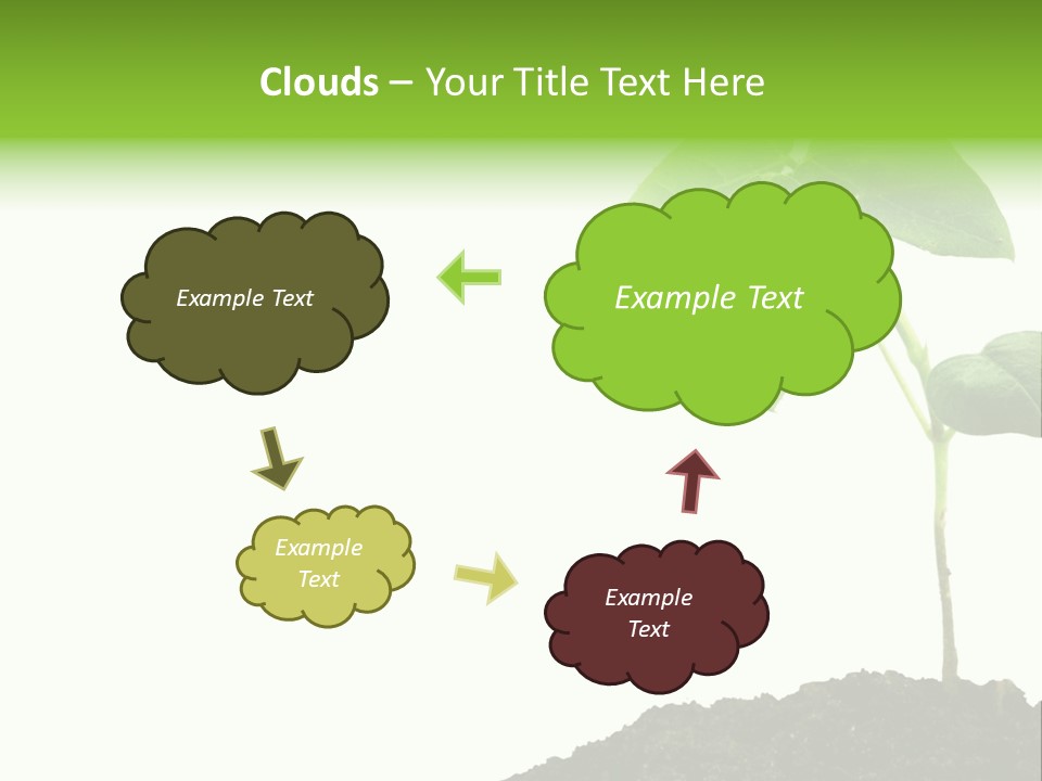Seedling Growing In Dirt, Isolated Over Pure White Background. PowerPoint Template