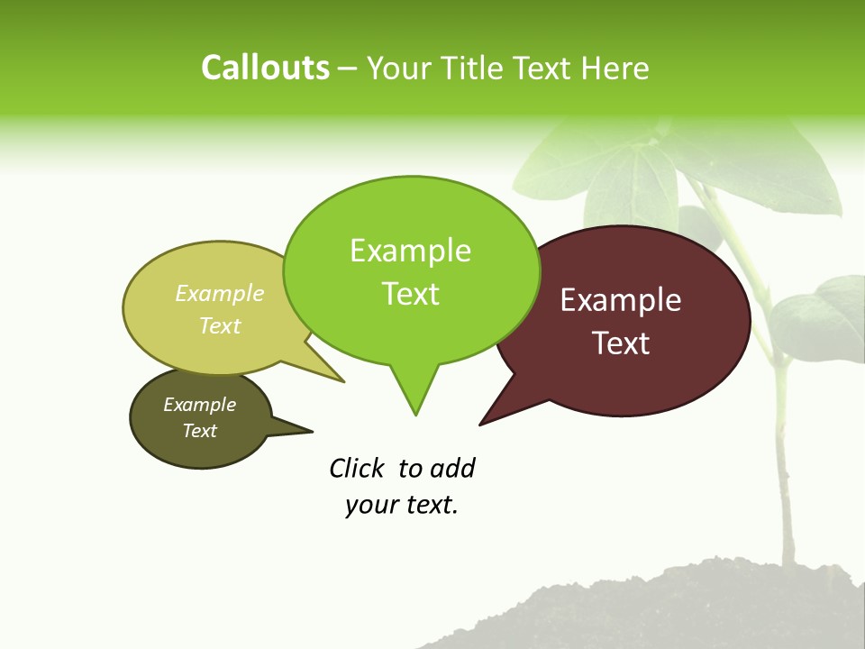 Seedling Growing In Dirt, Isolated Over Pure White Background. PowerPoint Template