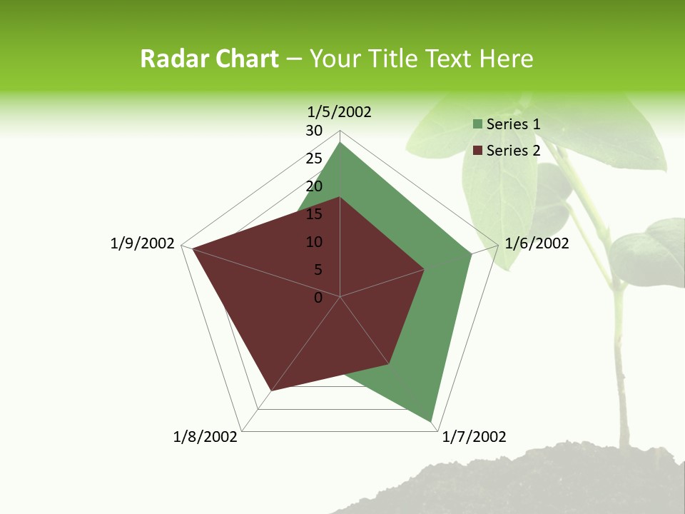 Seedling Growing In Dirt, Isolated Over Pure White Background. PowerPoint Template