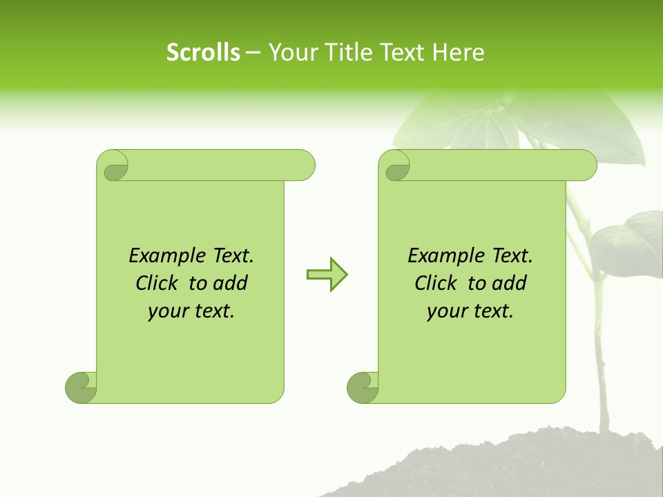 Seedling Growing In Dirt, Isolated Over Pure White Background. PowerPoint Template
