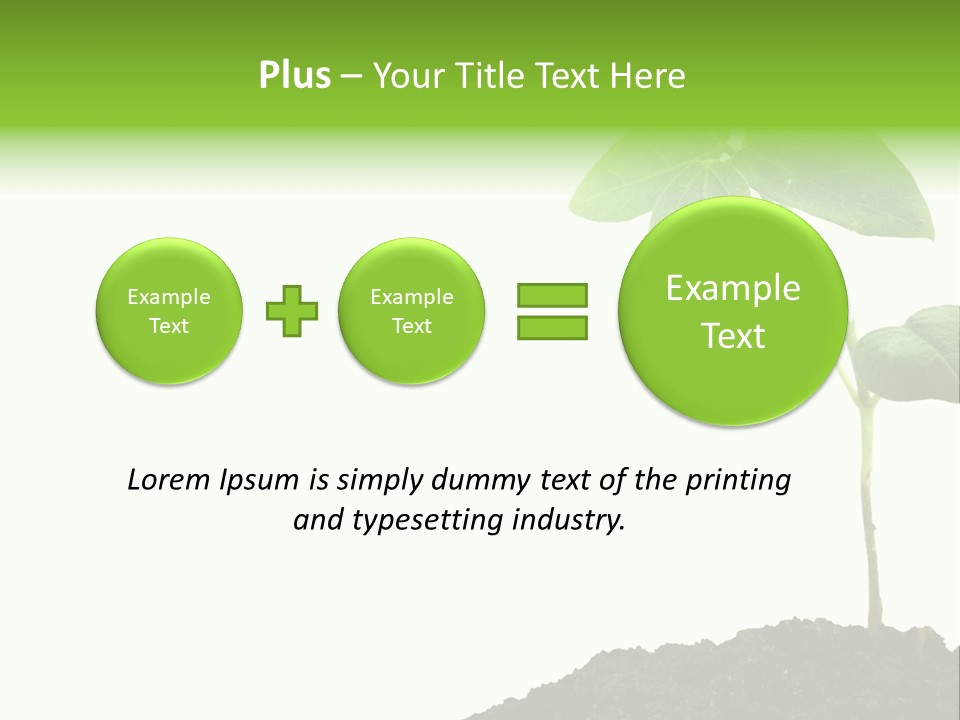 Seedling Growing In Dirt, Isolated Over Pure White Background. PowerPoint Template