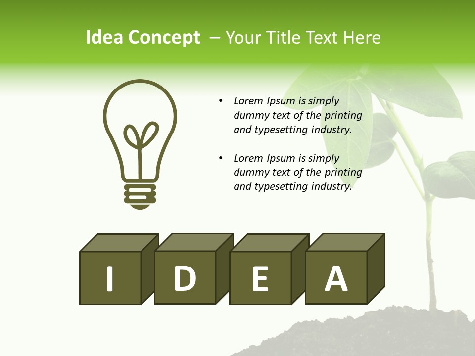 Seedling Growing In Dirt, Isolated Over Pure White Background. PowerPoint Template