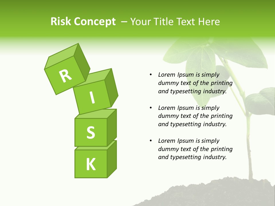 Seedling Growing In Dirt, Isolated Over Pure White Background. PowerPoint Template