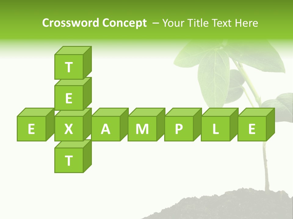 Seedling Growing In Dirt, Isolated Over Pure White Background. PowerPoint Template