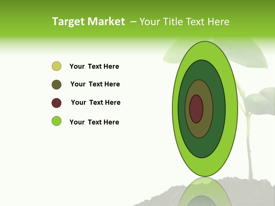 Seedling Growing In Dirt, Isolated Over Pure White Background. PowerPoint Template