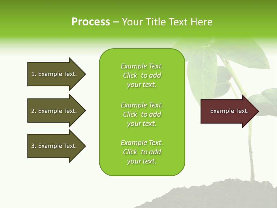 Seedling Growing In Dirt, Isolated Over Pure White Background. PowerPoint Template