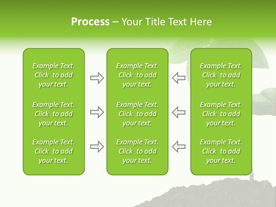 Seedling Growing In Dirt, Isolated Over Pure White Background. PowerPoint Template
