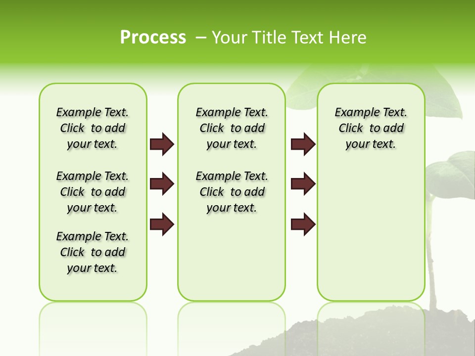 Seedling Growing In Dirt, Isolated Over Pure White Background. PowerPoint Template