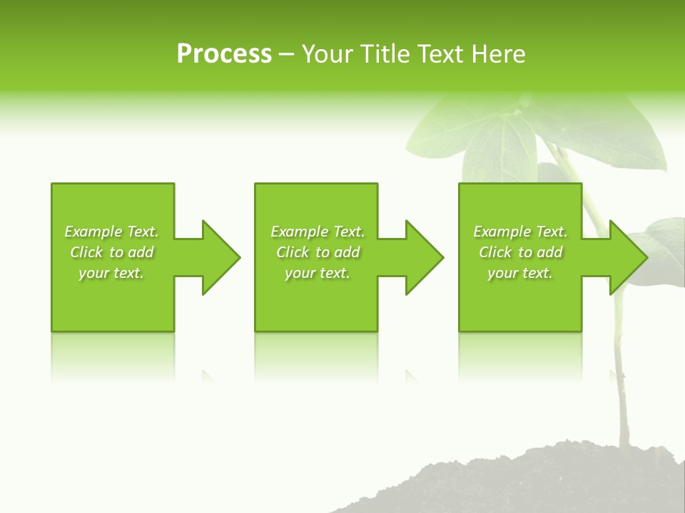 Seedling Growing In Dirt, Isolated Over Pure White Background. PowerPoint Template