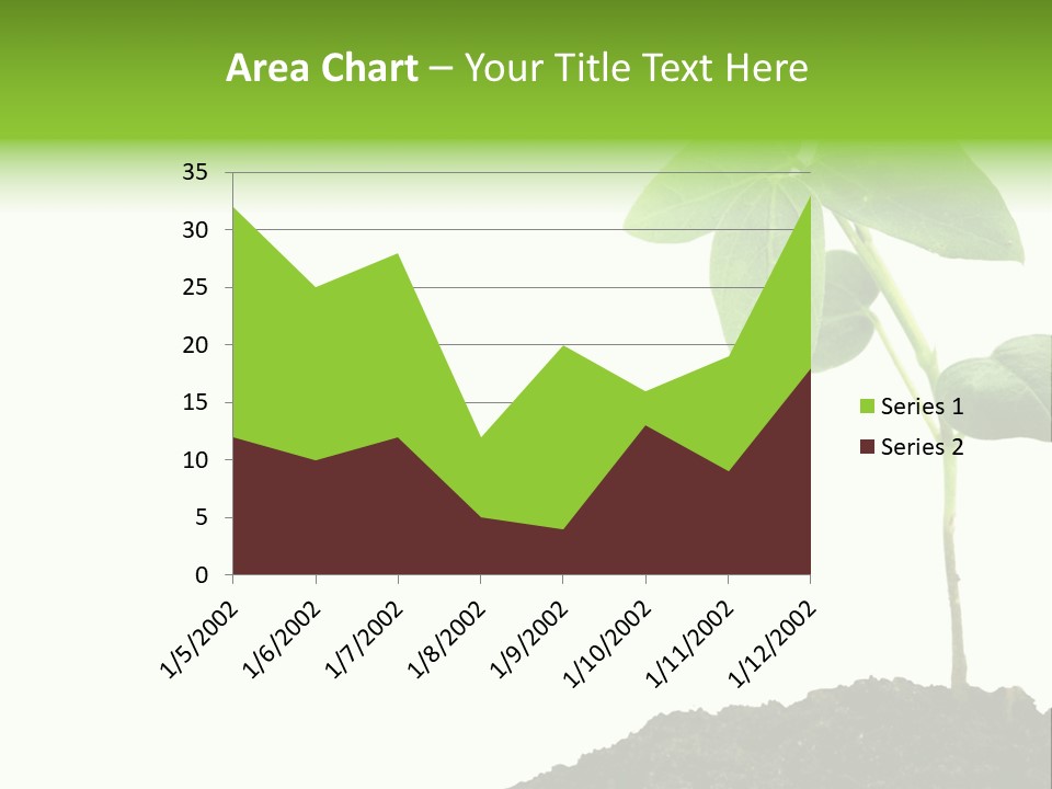 Seedling Growing In Dirt, Isolated Over Pure White Background. PowerPoint Template