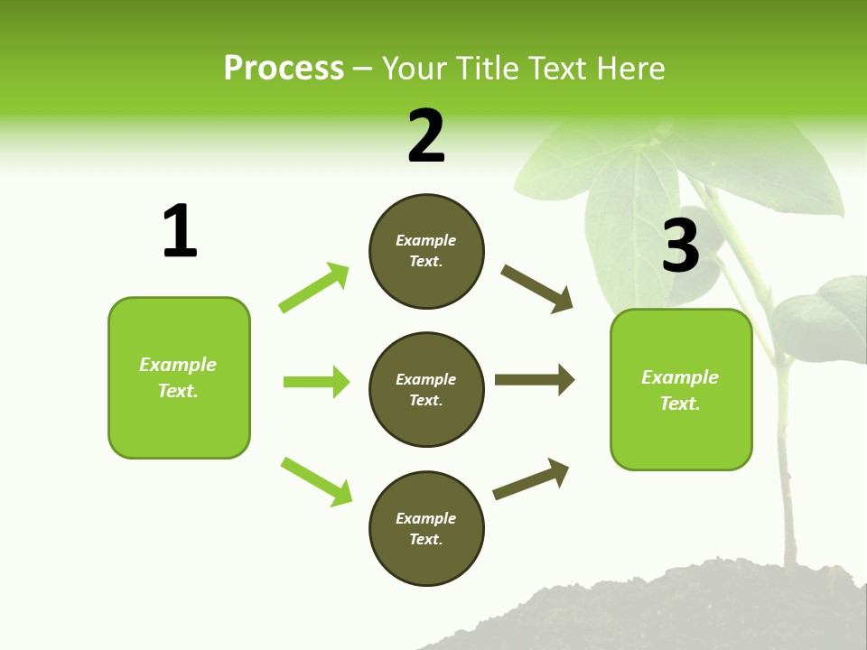 Seedling Growing In Dirt, Isolated Over Pure White Background. PowerPoint Template