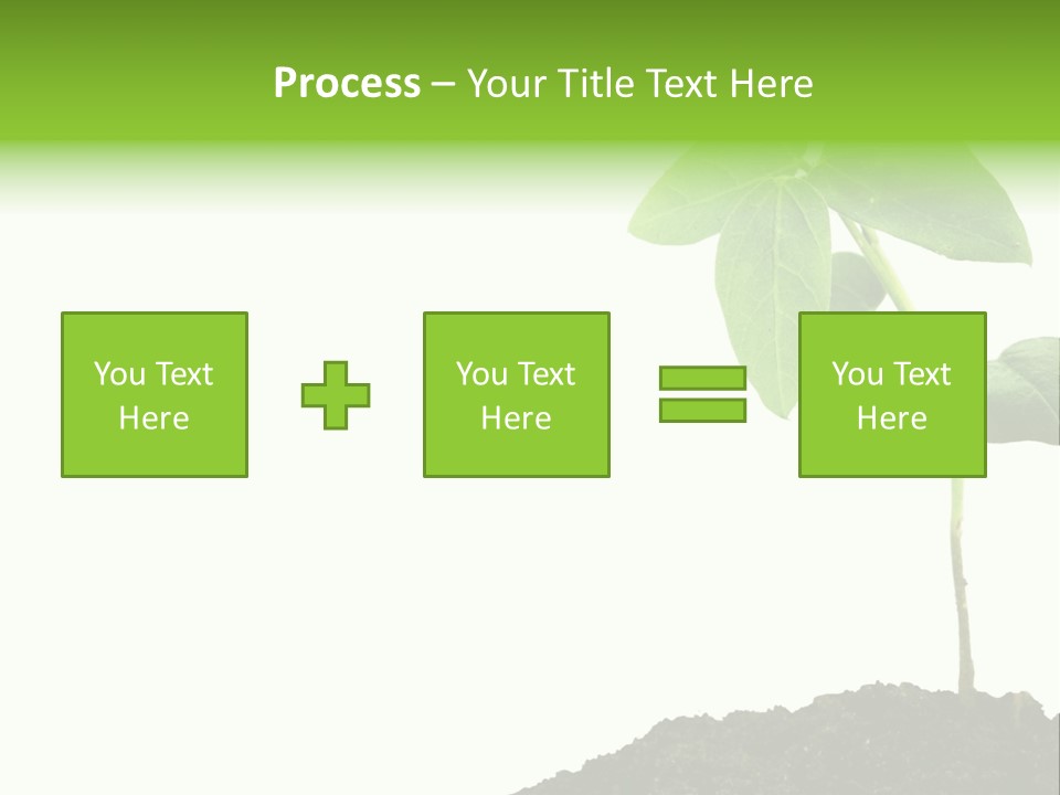 Seedling Growing In Dirt, Isolated Over Pure White Background. PowerPoint Template