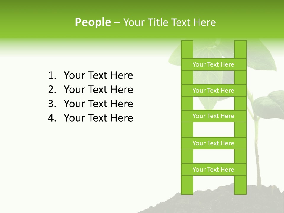 Seedling Growing In Dirt, Isolated Over Pure White Background. PowerPoint Template