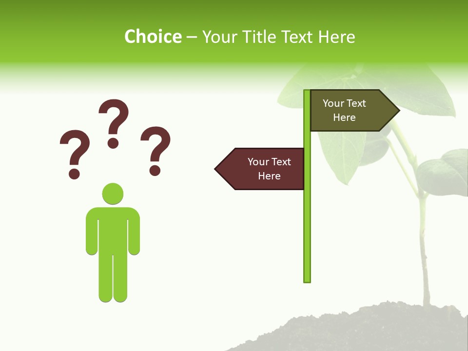 Seedling Growing In Dirt, Isolated Over Pure White Background. PowerPoint Template