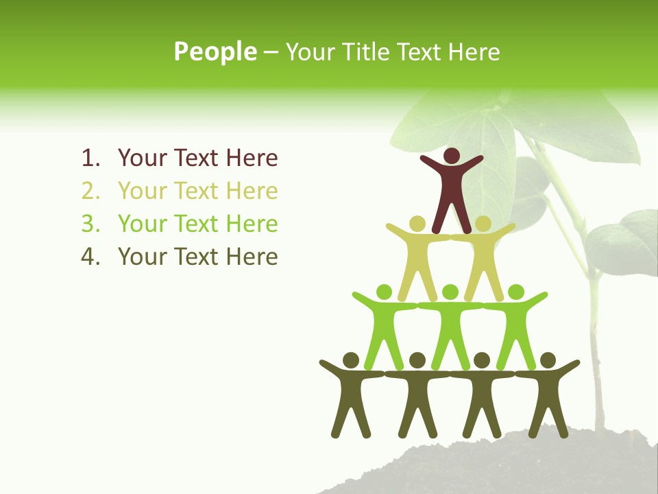 Seedling Growing In Dirt, Isolated Over Pure White Background. PowerPoint Template