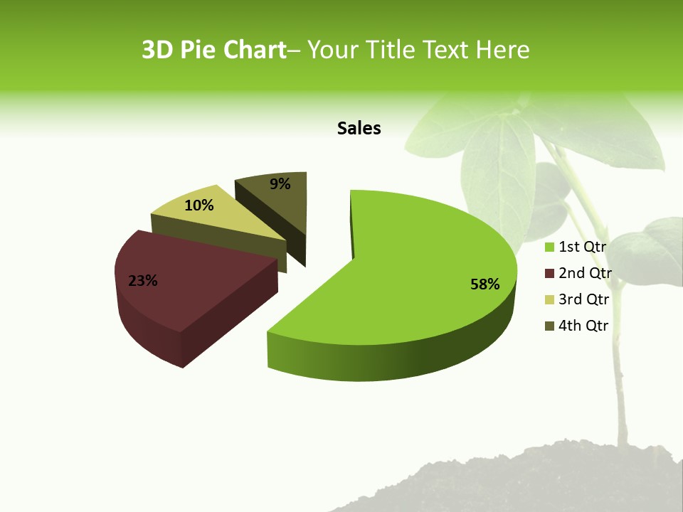 Seedling Growing In Dirt, Isolated Over Pure White Background. PowerPoint Template