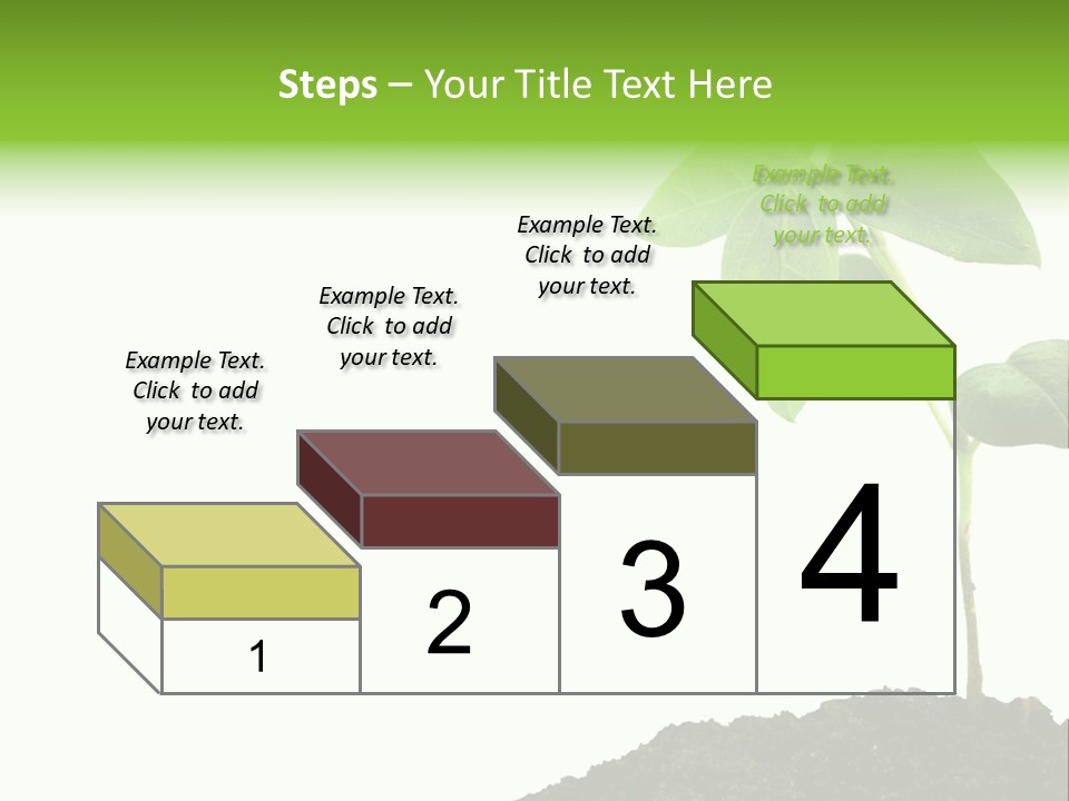 Seedling Growing In Dirt, Isolated Over Pure White Background. PowerPoint Template