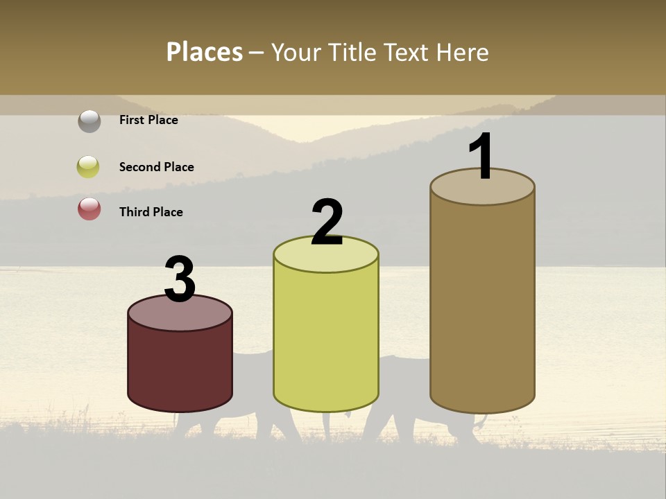 Elephant Bulls Wrestling At Sunset PowerPoint Template