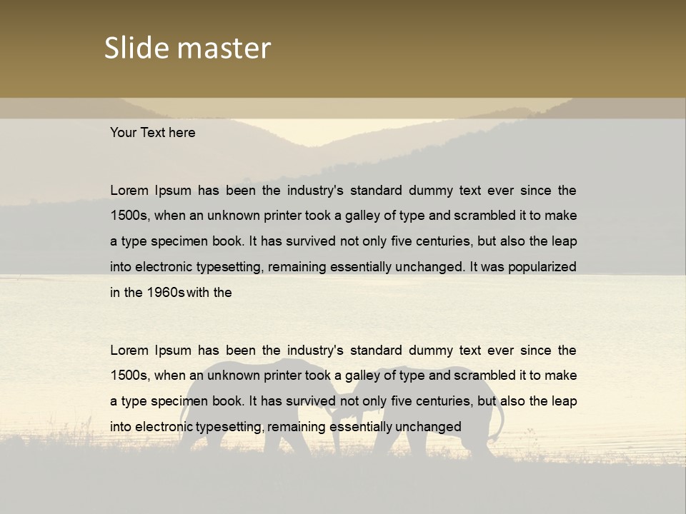 Elephant Bulls Wrestling At Sunset PowerPoint Template