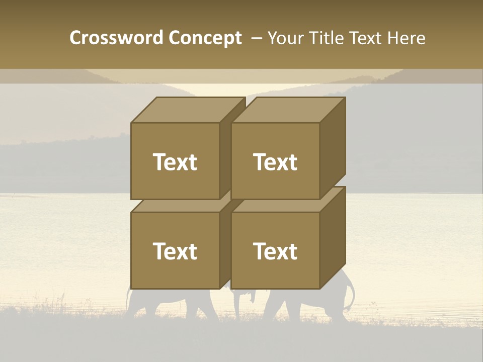 Elephant Bulls Wrestling At Sunset PowerPoint Template