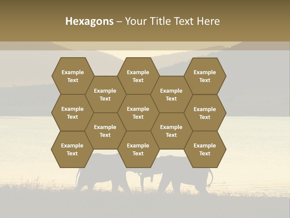 Elephant Bulls Wrestling At Sunset PowerPoint Template