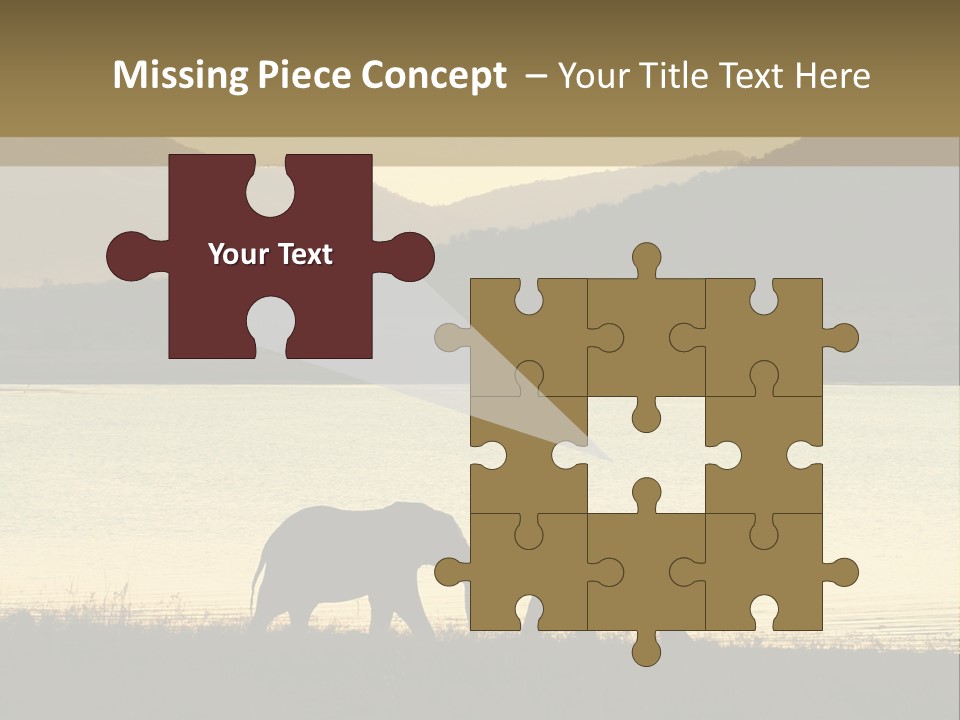 Elephant Bulls Wrestling At Sunset PowerPoint Template