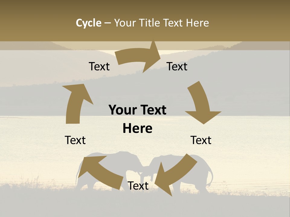 Elephant Bulls Wrestling At Sunset PowerPoint Template
